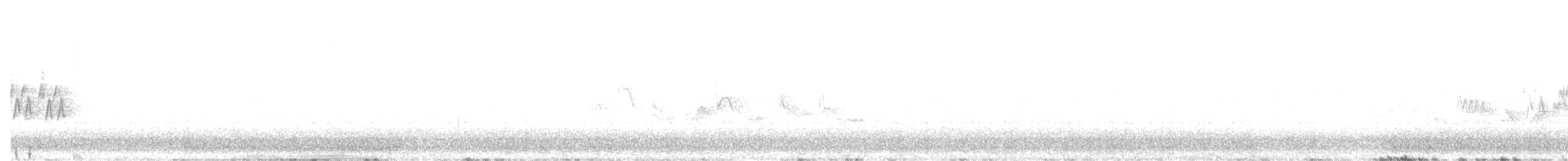 MacGillivray's Warbler - ML639275959