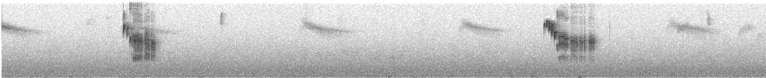 Troglodyte montagnard - ML639277727