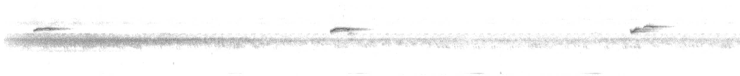 Dicée des Célèbes - ML639277837