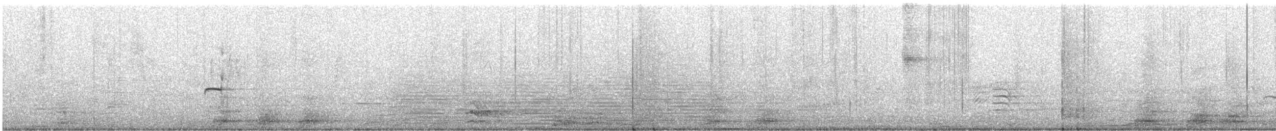 Northern Beardless-Tyrannulet - ML639278101