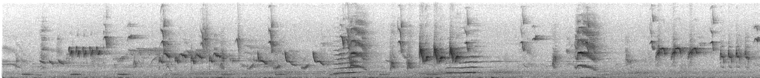 Blongios d'Australie - ML639279266