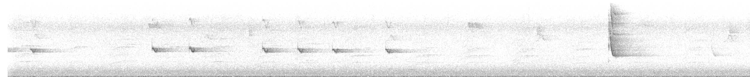 Eastern Spinebill - ML639279952