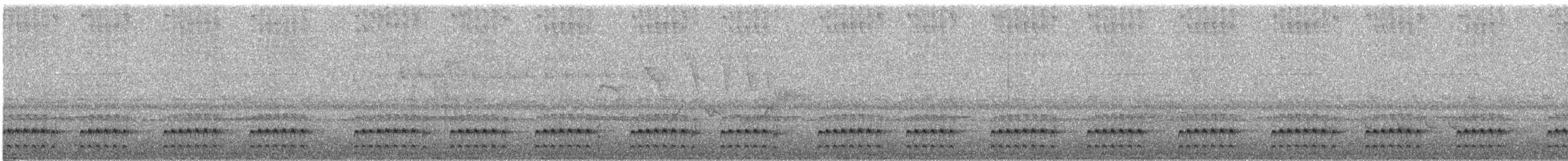 Tatama Tapaculo - ML639280177