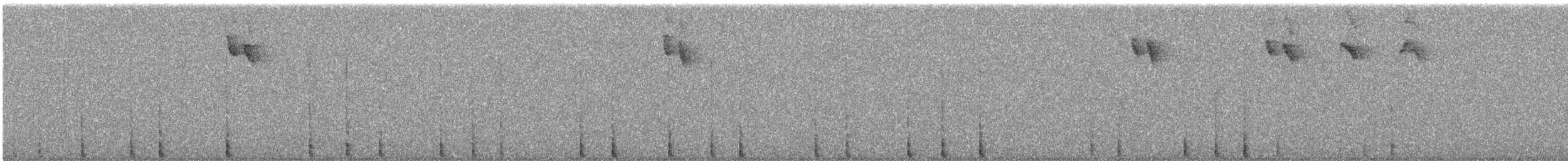 karnevalsspett (rivolii gr.) - ML639280465