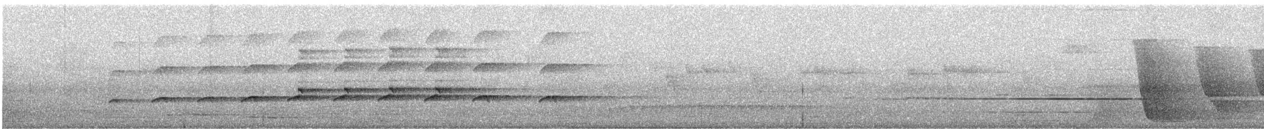 Autour blanc - ML639281696