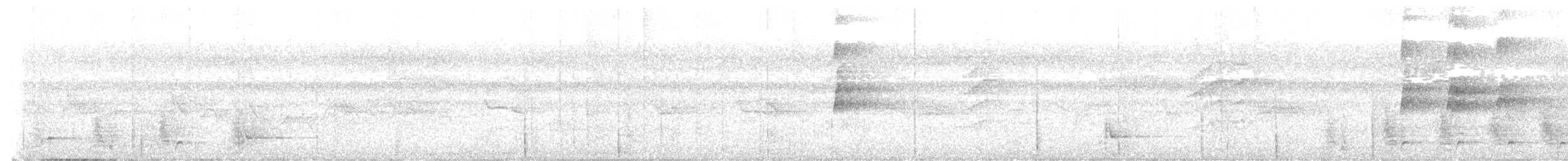 Spotted Catbird - ML639282217