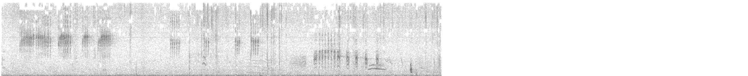 Black-chested Prinia - ML639282932