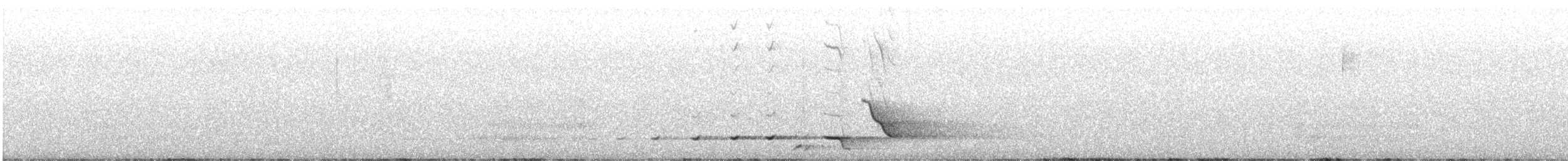 Gray Shrikethrush - ML639284450