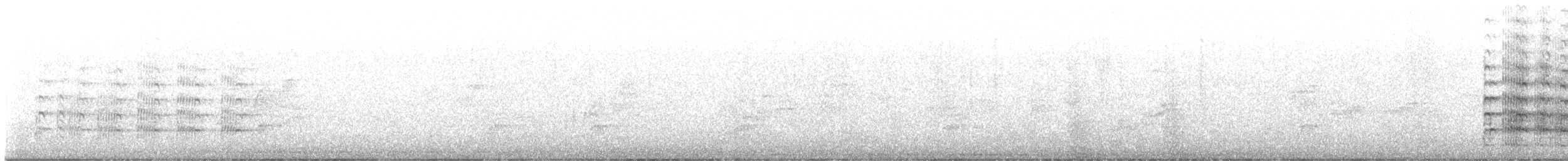 Masked Lapwing - ML639285977