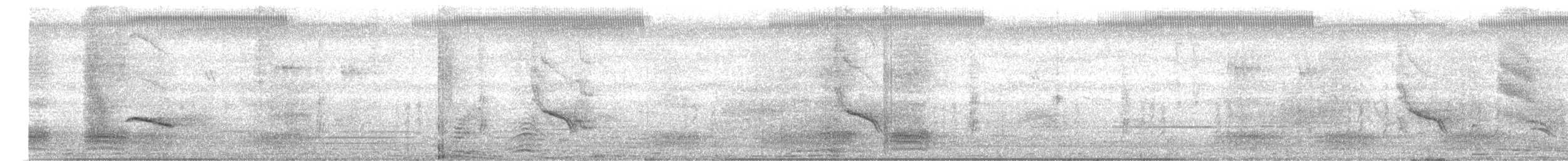 Black Drongo - ML639286441