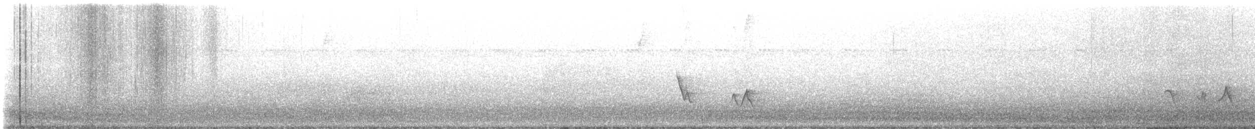 Black-whiskered Vireo - ML639286867