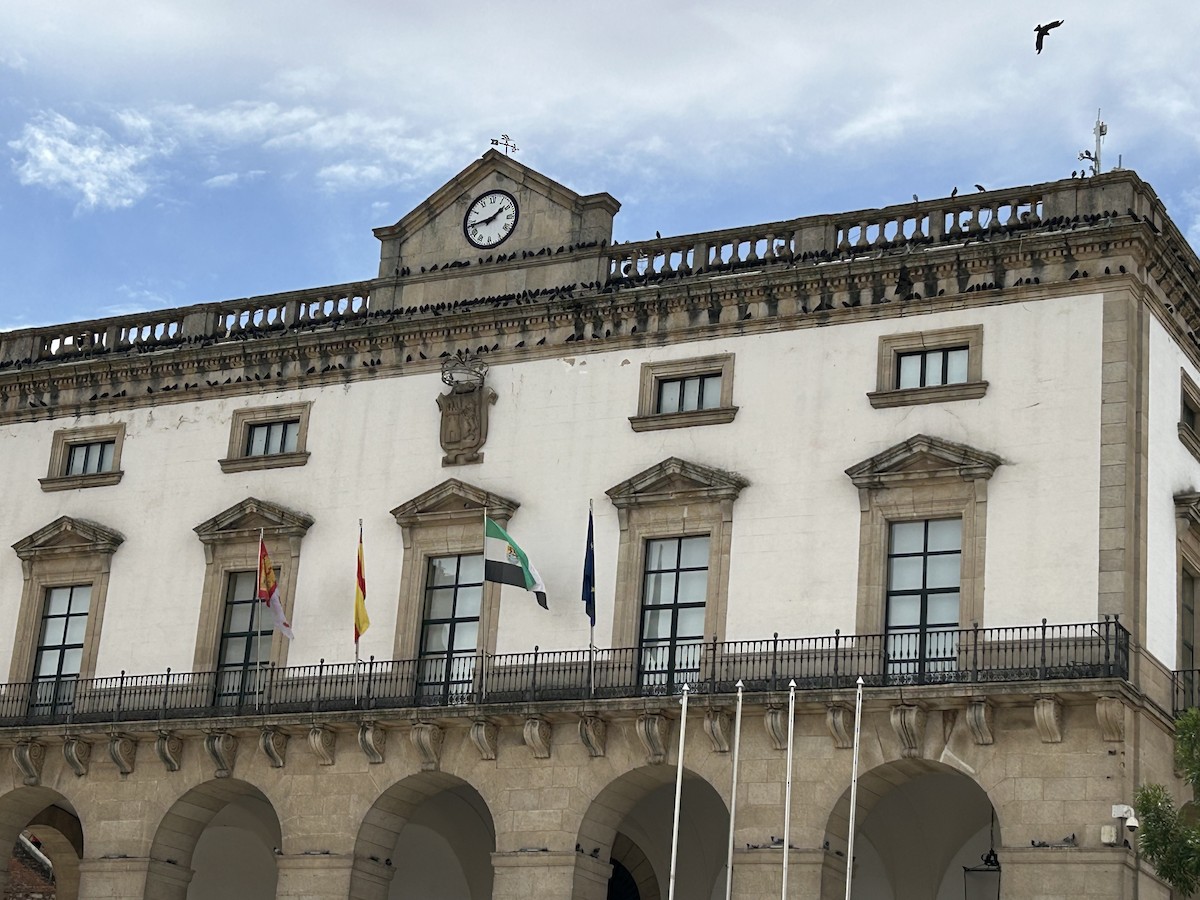 Eurasian Jackdaw - ML639287000