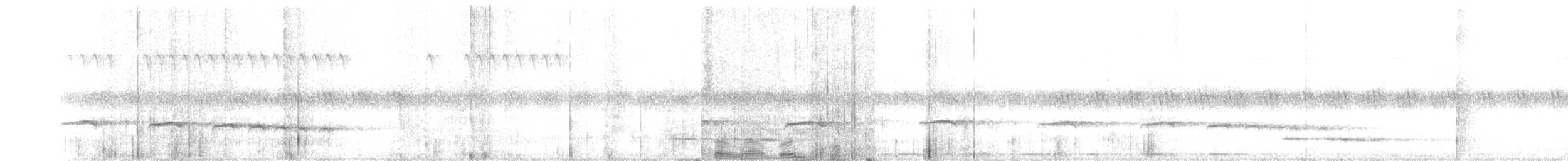 Plaintive Cuckoo - ML639288763