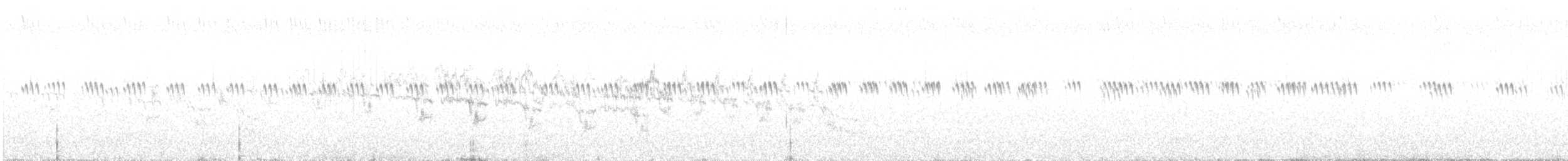 Sprague's Pipit - ML639289301
