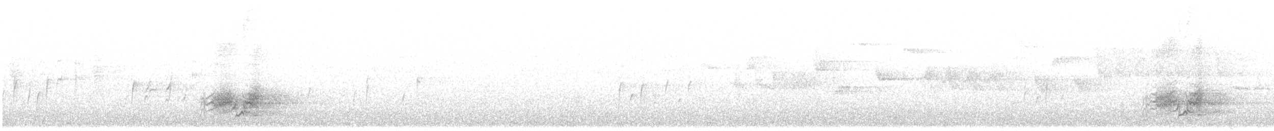 Pirol - ML639290109