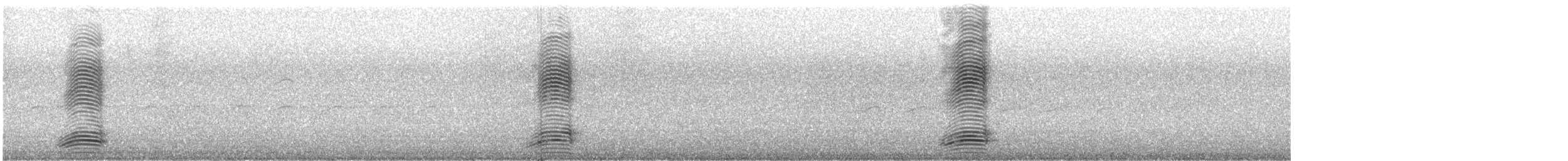 Torresian Crow - ML639291420