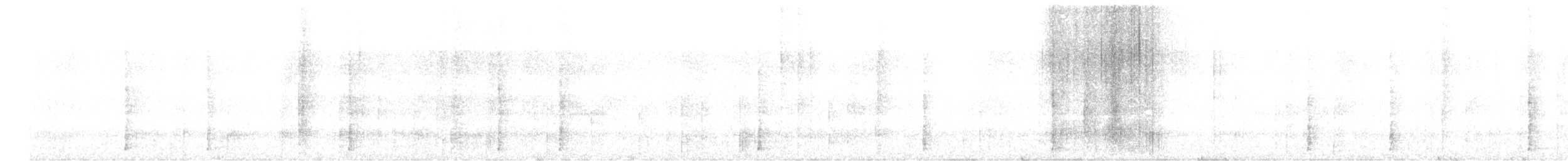 White-breasted Tapaculo - ML639292218