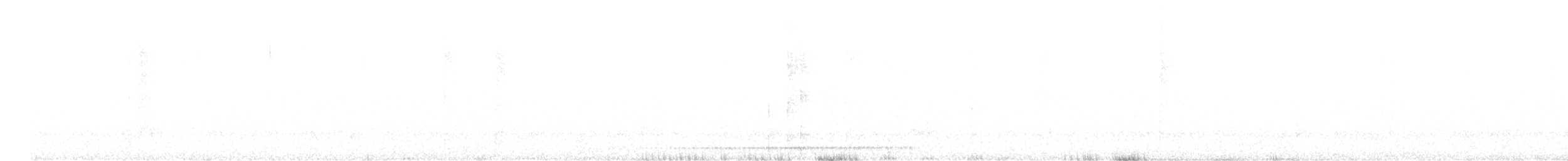 White-breasted Tapaculo - ML639292219