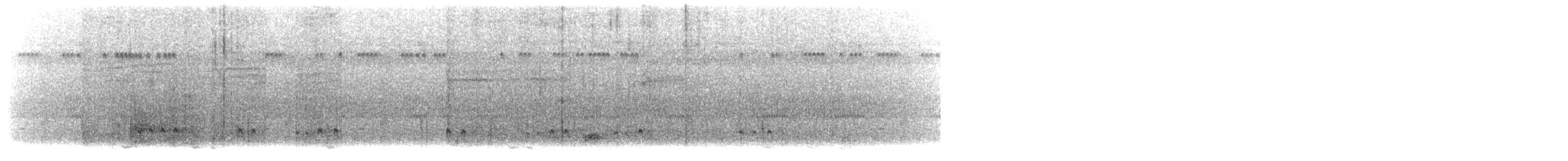 Australasian Grass-Owl - ML639292441