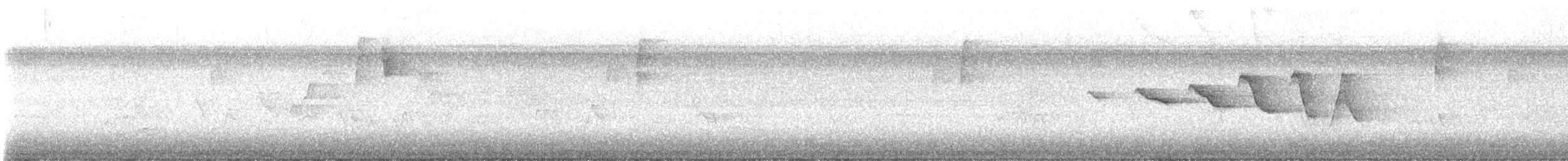 Swainson's Warbler - ML639293150