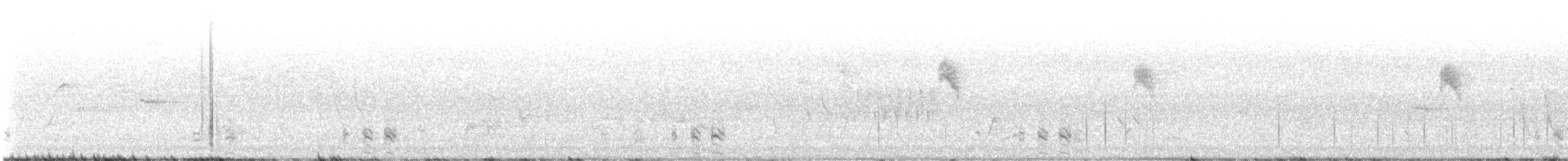 Least Bittern - ML639294528