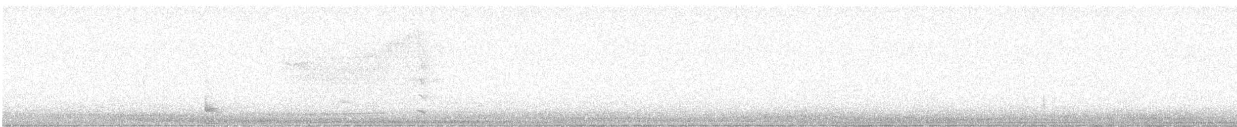 Barred Owl - ML639295684