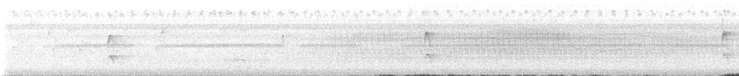 Red-cockaded Woodpecker - ML639301931