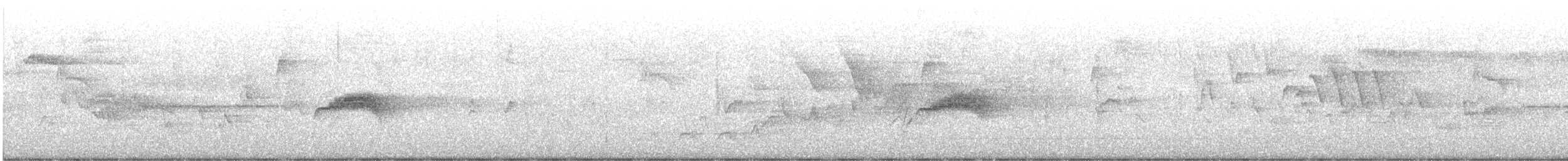 Western Wood-Pewee - ML639302152