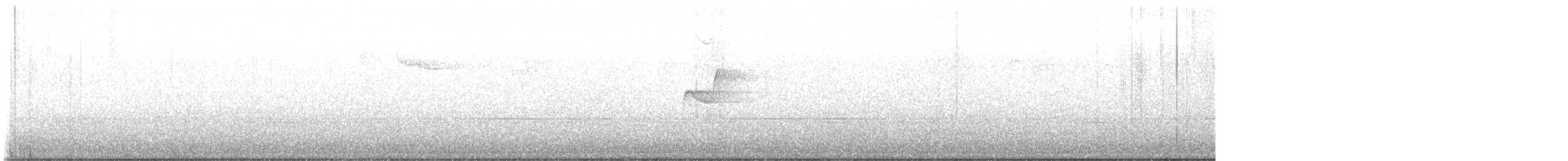 Western Flycatcher (Pacific-slope) - ML639302282