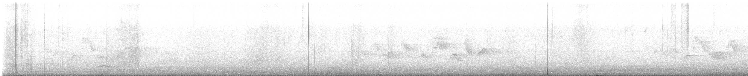 Warbling Vireo (Western) - ML639302287