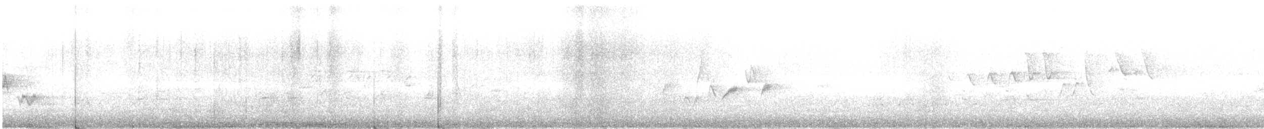 Warbling Vireo - ML639304244