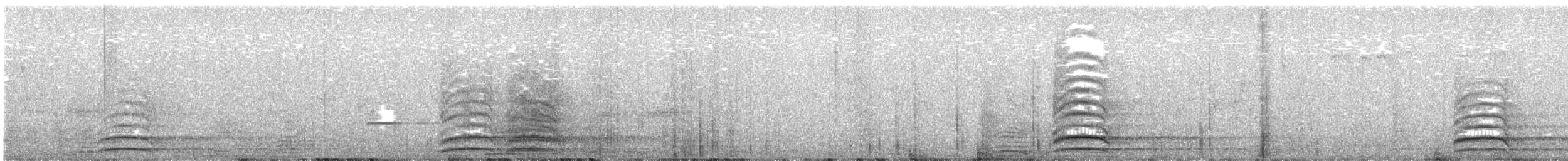 Common Raven - ML639305670