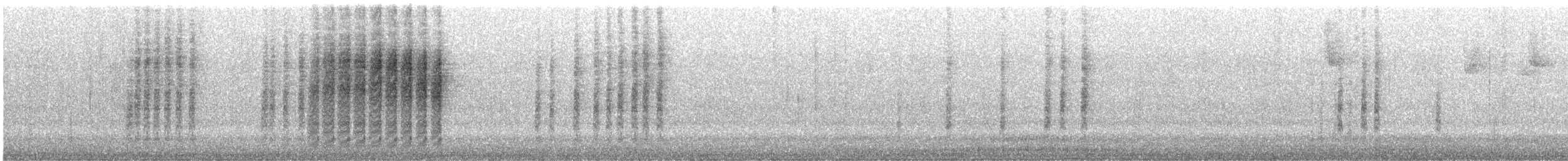 Northern House Wren - ML639306129