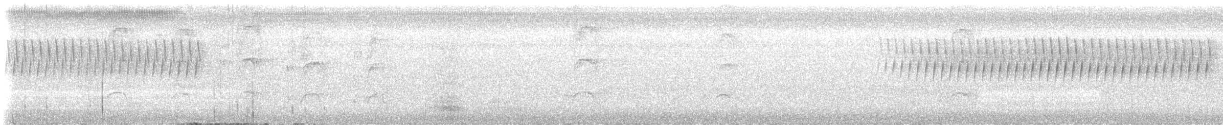 Red-cockaded Woodpecker - ML639307820