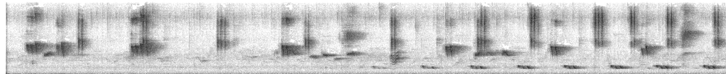 Gray-bellied Tesia - ML639309621