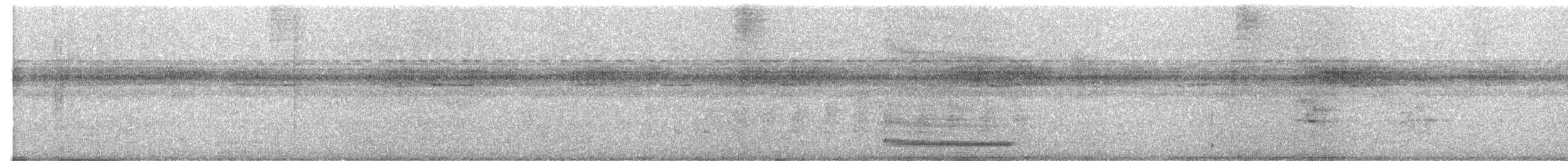 nordbuetyrann - ML639310103