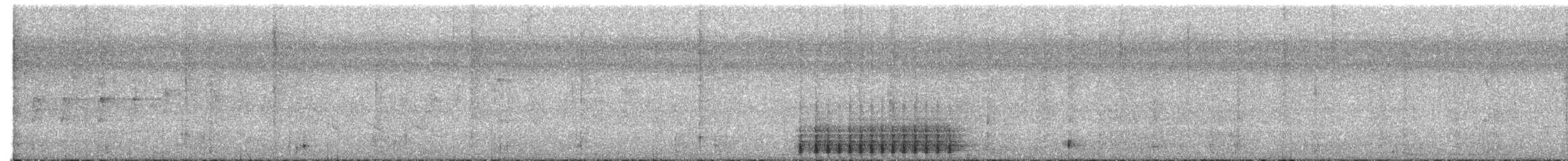 Hoffmann's Woodpecker - ML639311193