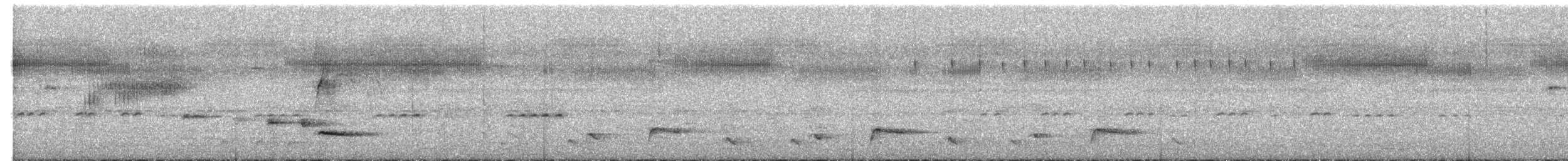 Banded Wren - ML639311218