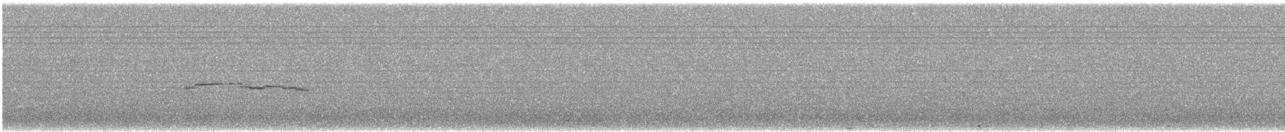 Patagonian Tyrant - ML639311830