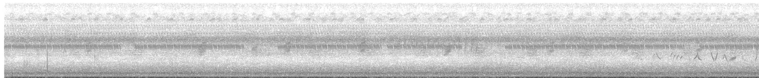 ルリイカル - ML639312006