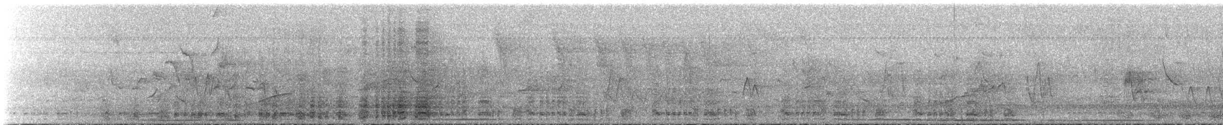 West Mexican Chachalaca - ML639312948