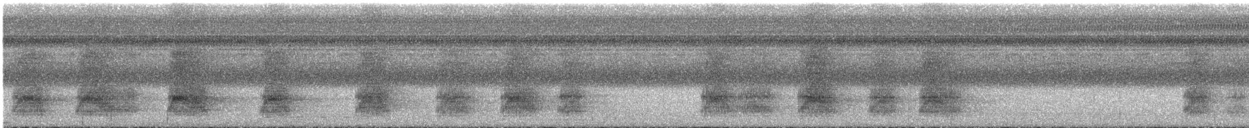 White-throated Magpie-Jay - ML639312963