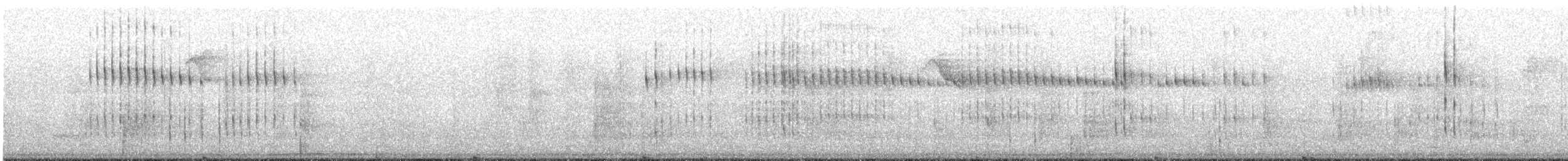 datlíček proužkobřichý - ML639314226