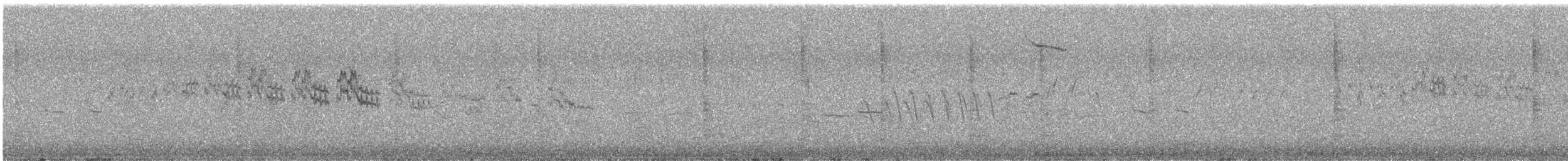 Sprague's Pipit - ML639315501