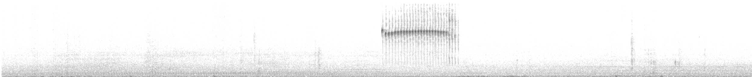 Picumne perlé - ML639317380