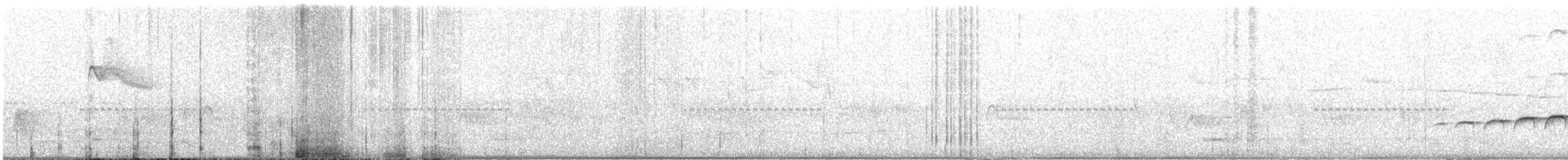 Large-tailed Antshrike - ML639318070