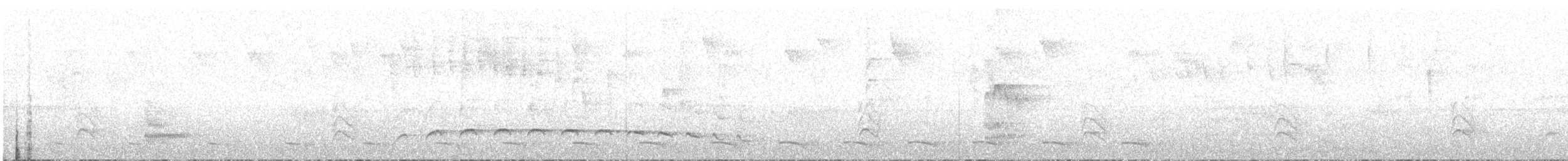 Spot-breasted Antvireo - ML639318131