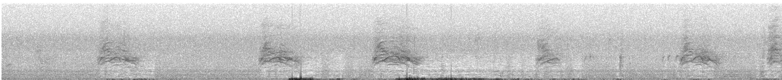 småkasik - ML639318538