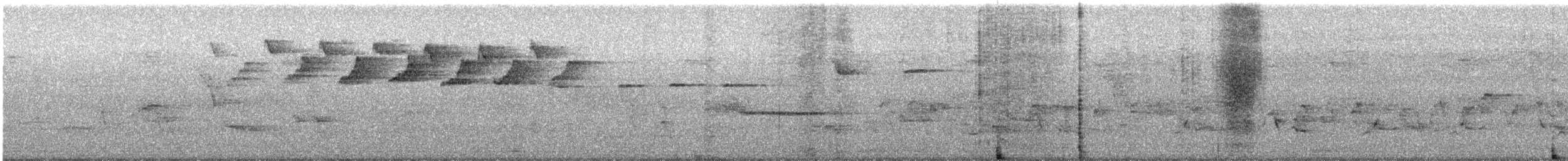 Black-and-white Warbler - ML639319922