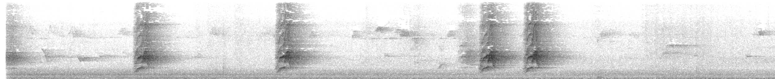 Méliphage à oreillons bleus - ML639321264